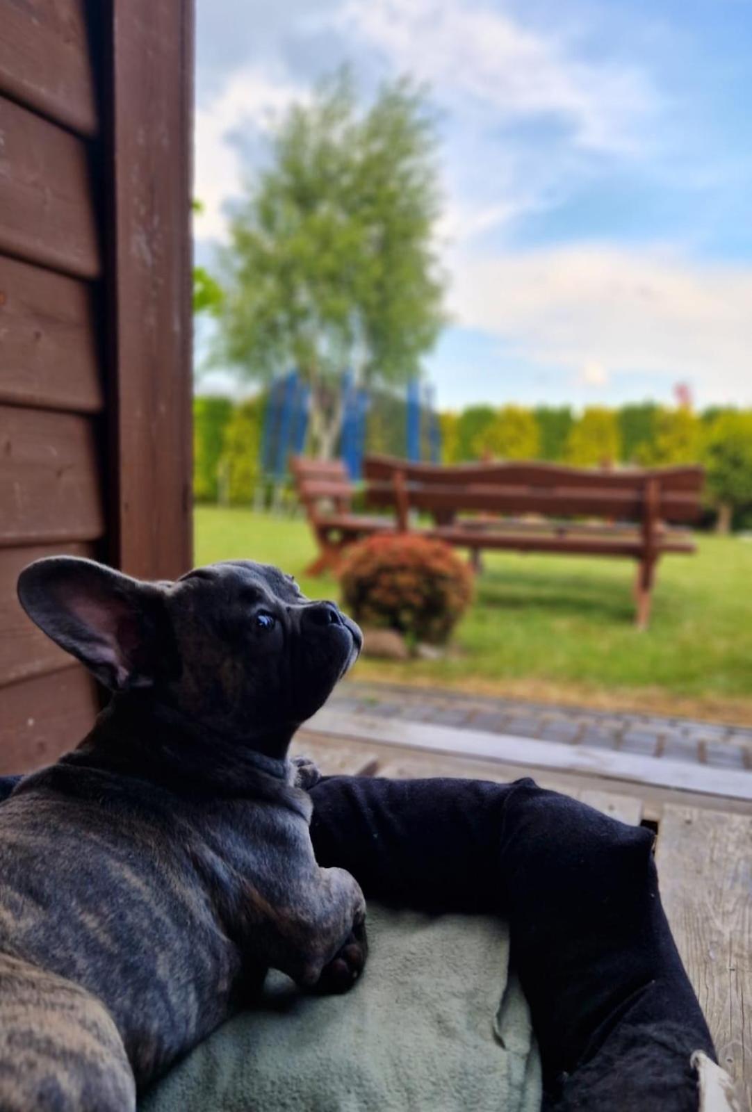 Domki Letniskowe Lawenda Rusinowo  Exterior foto